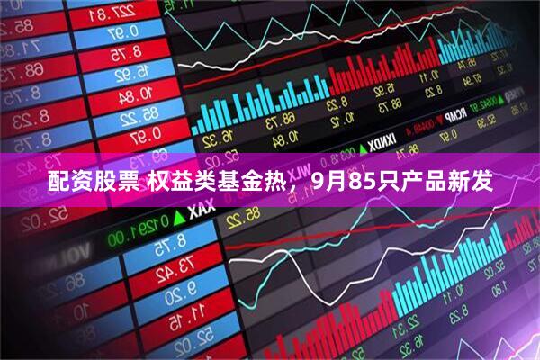 配资股票 权益类基金热，9月85只产品新发