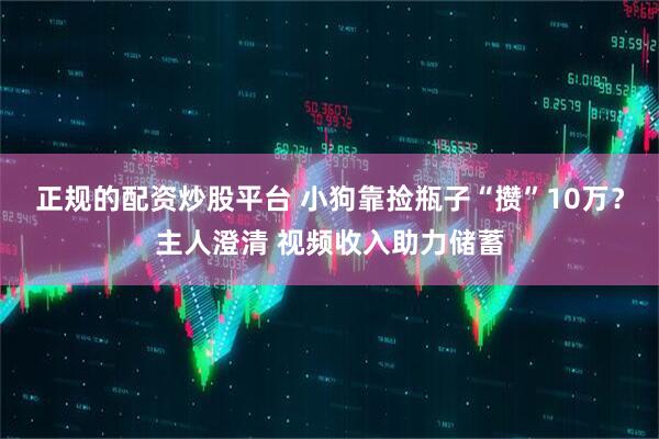 正规的配资炒股平台 小狗靠捡瓶子“攒”10万？主人澄清 视频收入助力储蓄